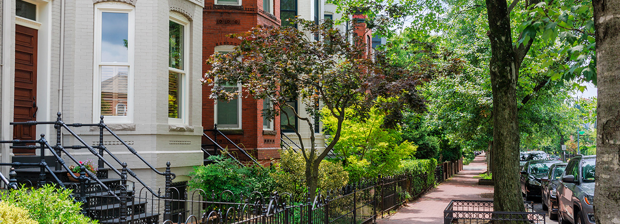 Historic rowhomes in the sun.
