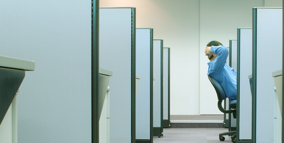 Row of cubicles with one occupied
