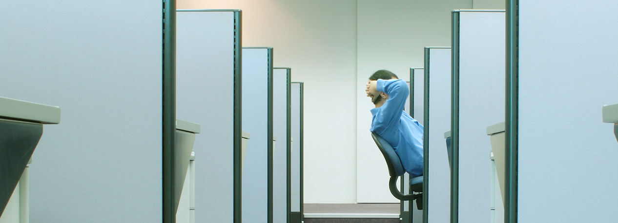 Row of cubicles with one occupied