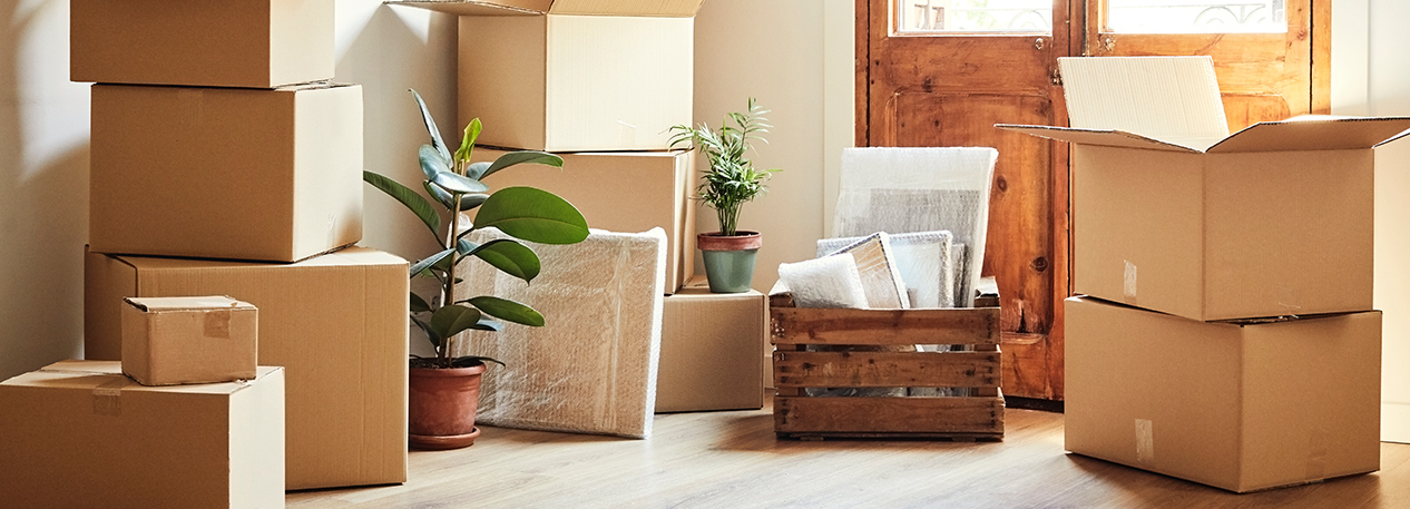 A crate, potted plants and moving boxes sitting inside the front door of a house