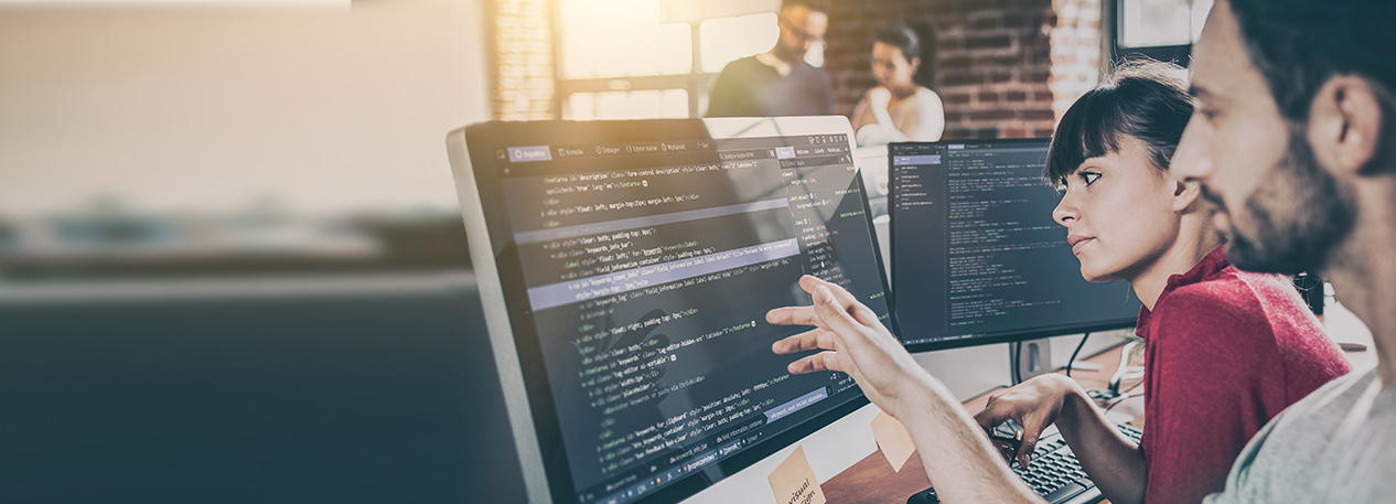 Two colleagues work on a computer programming project.