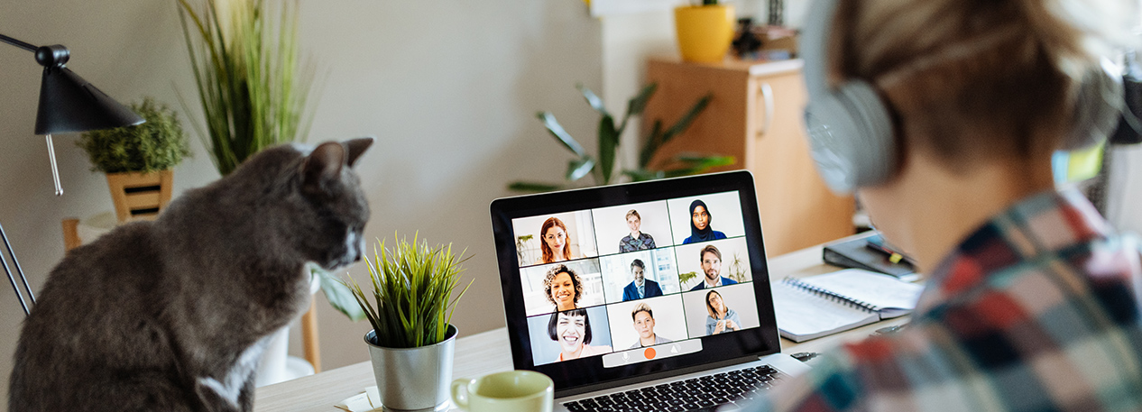 Person wearing headphones and taking part in a video conference call on a laptop with nine other participants while a cat sits on the desk nearby.