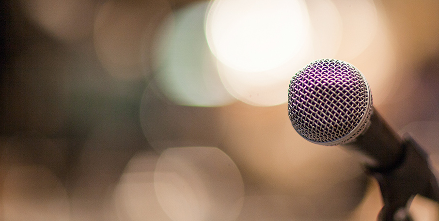 Microphone in a holder