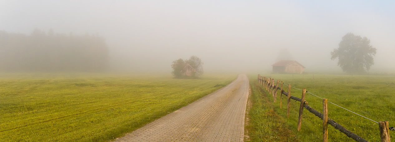Dirt road running through a field on a foggy farm.