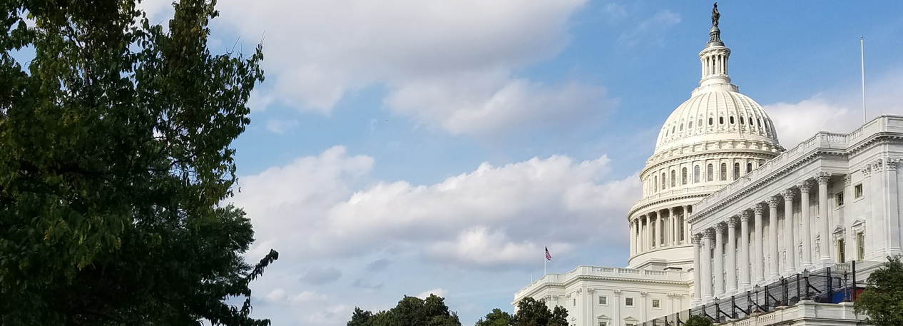 A tree and grassy knoll sit are in the foreground; the U.S. Capitol Building is in the background.