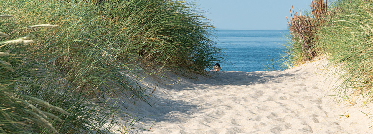 Sand dune on a beach with the ocean in the distance