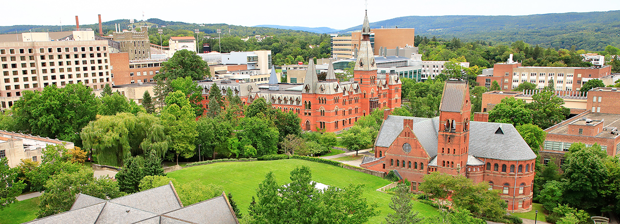 A view of Cornell University's campus.