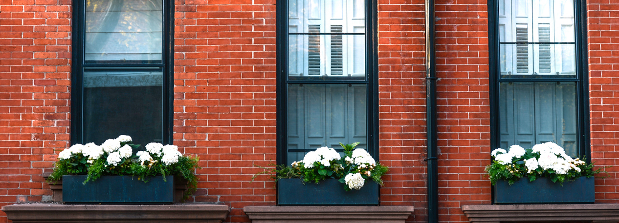 Brick home with window boxes containing white flowers