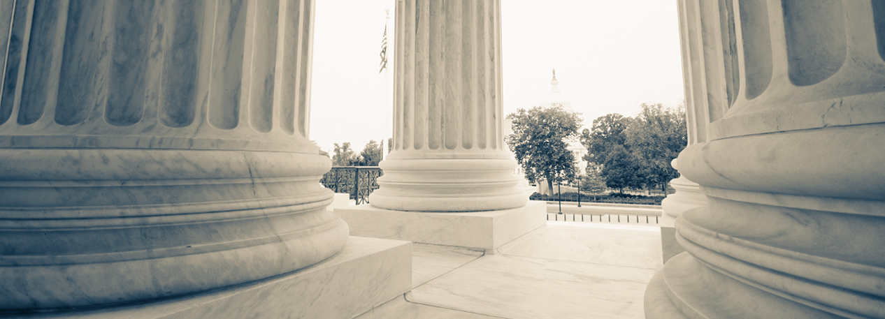 The base of two white, fluted columns with trees in the distance