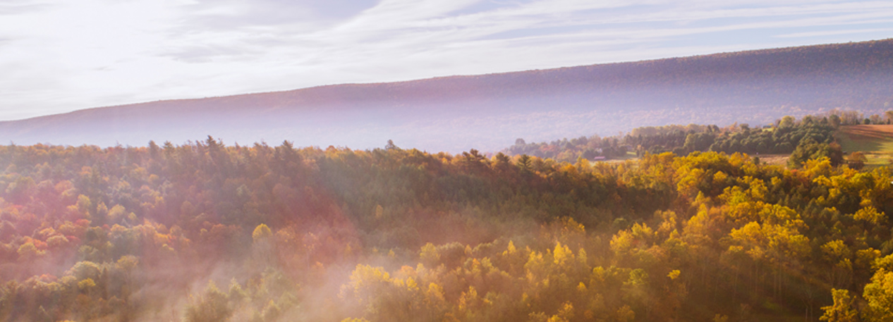 An autumn scene of rolling, tree-covered hills shot from above.