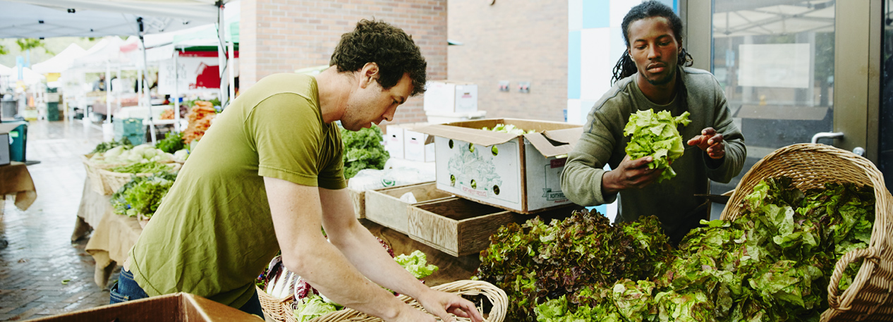 Two men working at a farmers market, placing lettuce out for sale