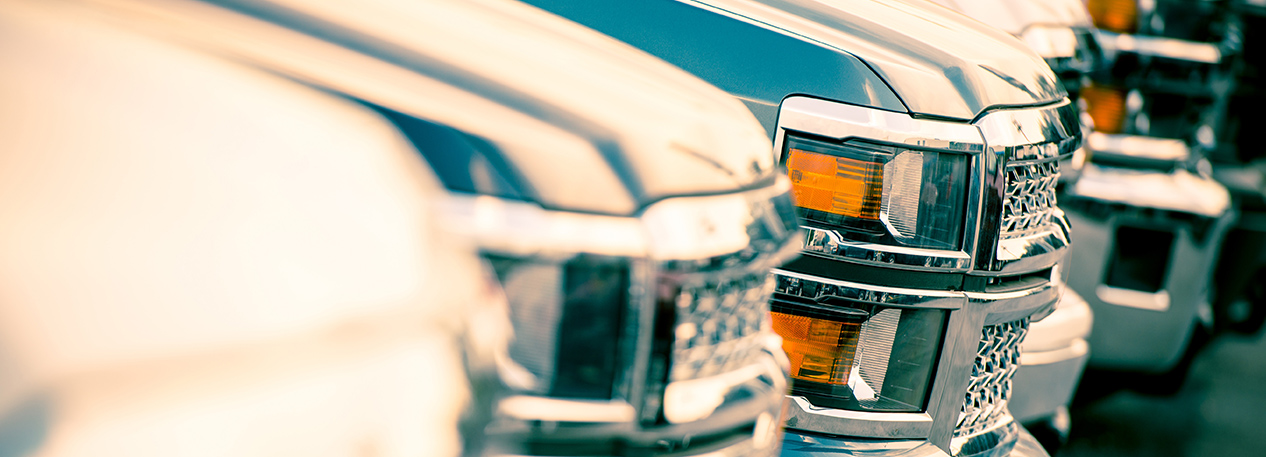 Front bumpers and headlights of a row of pickup trucks