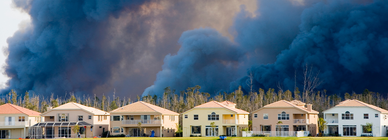 A forest fire burns just beyond a neighborhood.