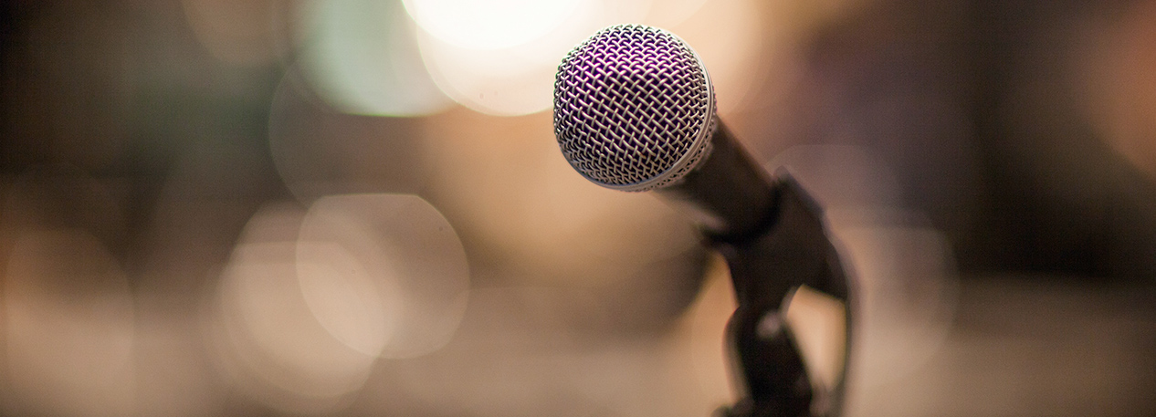 Microphone in a holder