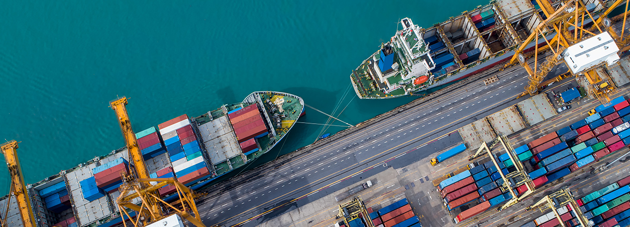 Cranes loading shipping containers onto cargo ships