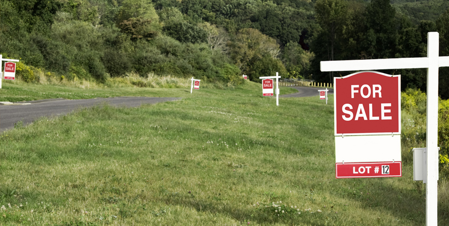 Red and white For Sale signs are displayed on a grassy hill next to a road.