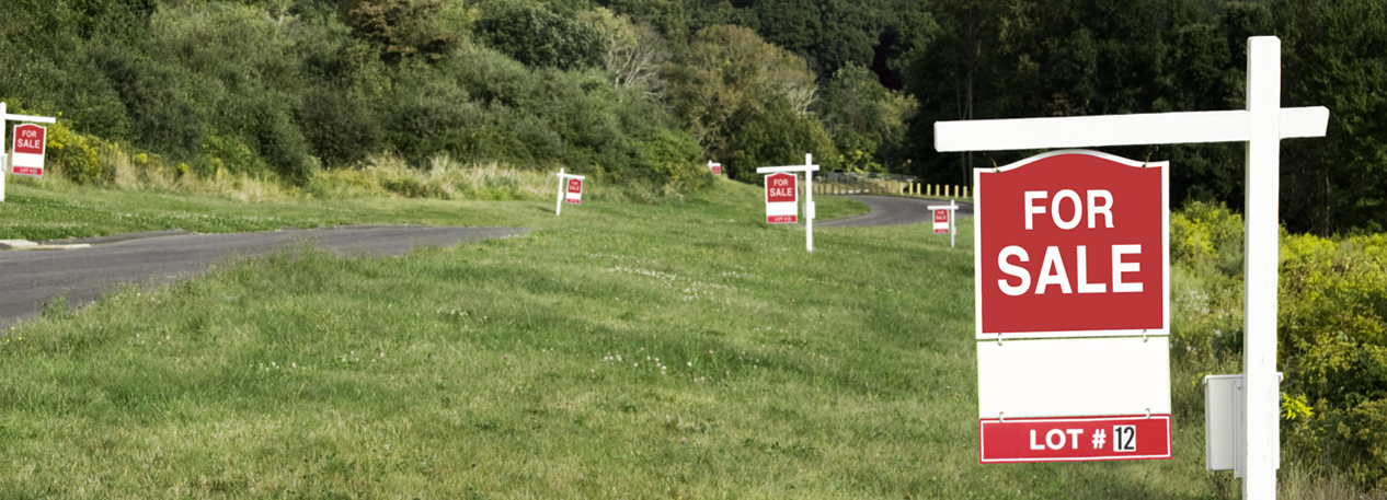 Red and white For Sale signs are displayed on a grassy hill next to a road.