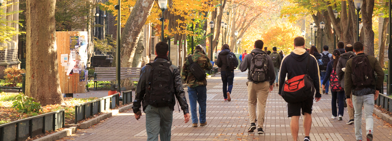 Tree-lined college campus walkway with students.
