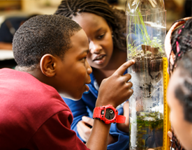 Wissahickon Charter School is a high-performing Philadelphia school that focuses on the environment as an integrating theme for K–8 instruction.