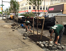 Tree planting near the intersection of Germantown and Chelten Avenues in Philadelphia helps beautify a busy commercial corridor.