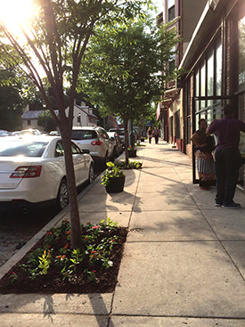 Tree planting on Germantown Avenue in Philadelphia has made the commercial corridor more attractive to shoppers.