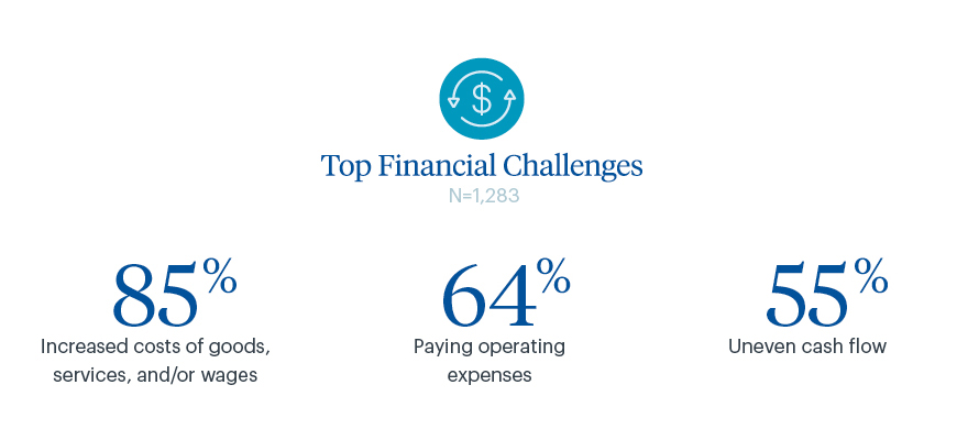 Top operational challenges in the Third District for small business owners according to the Small Business Credit Survey.